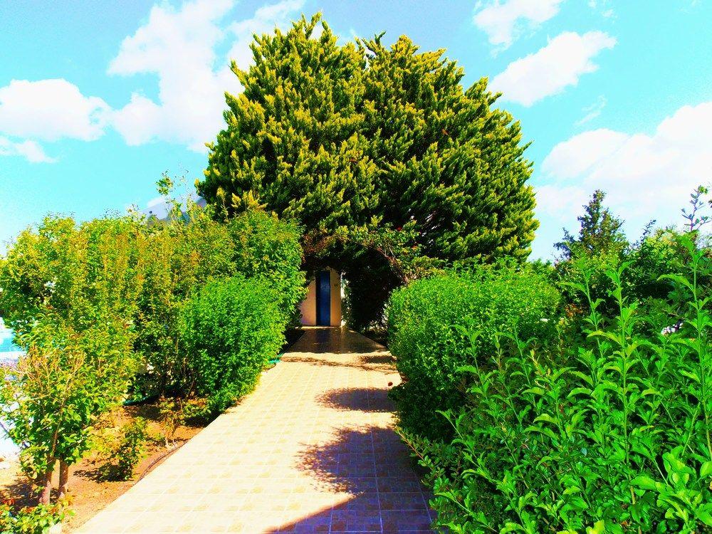 Belvita Hotel Κολύμπια Εξωτερικό φωτογραφία